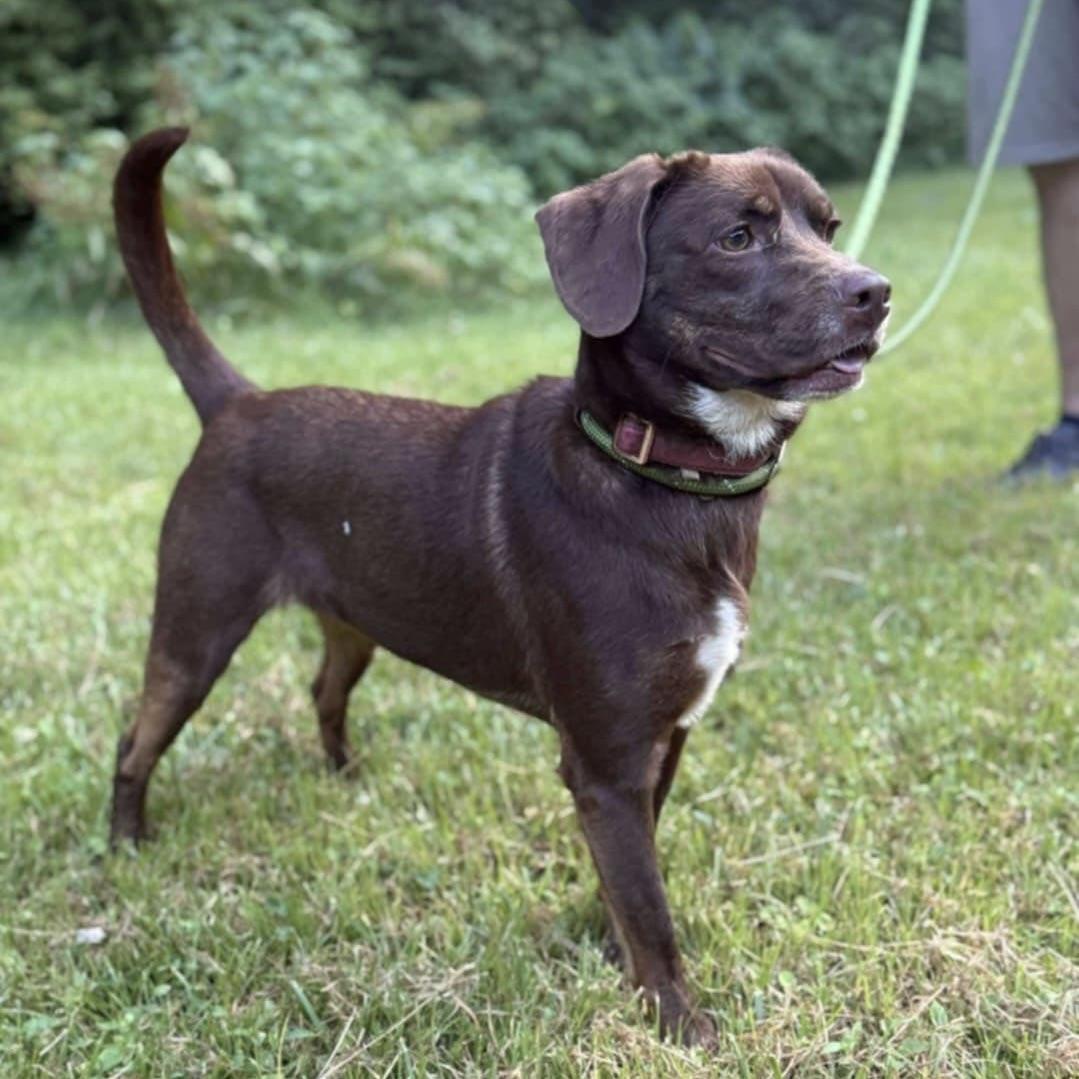 Mochi (20250724-07) — thumbnail 2