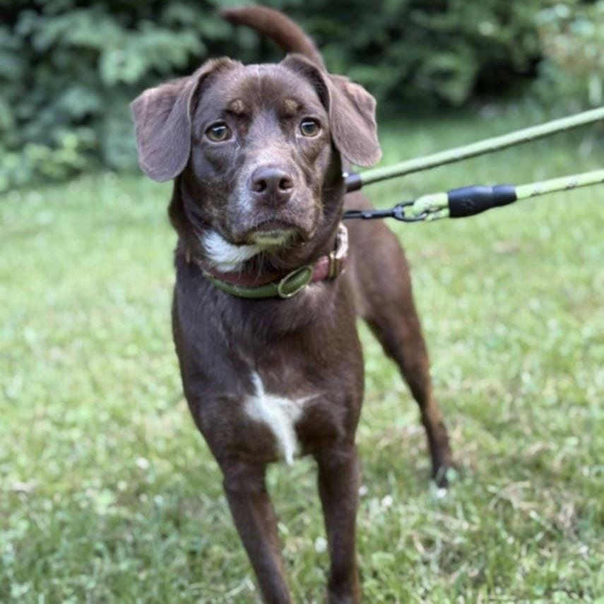 Mochi (20250724-07) — thumbnail 3