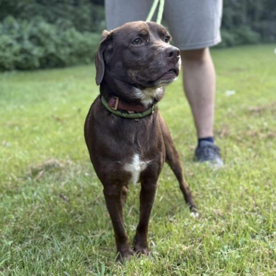 Mochi (20250724-07) — thumbnail 4