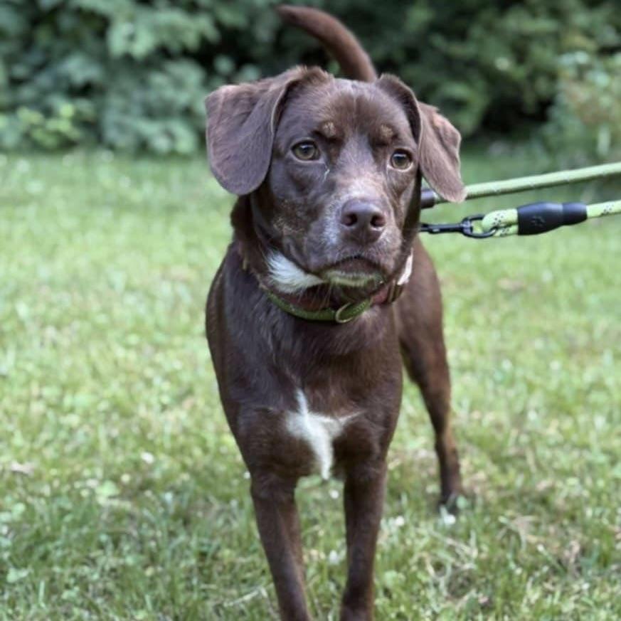 Mochi (20250724-07) — thumbnail 5