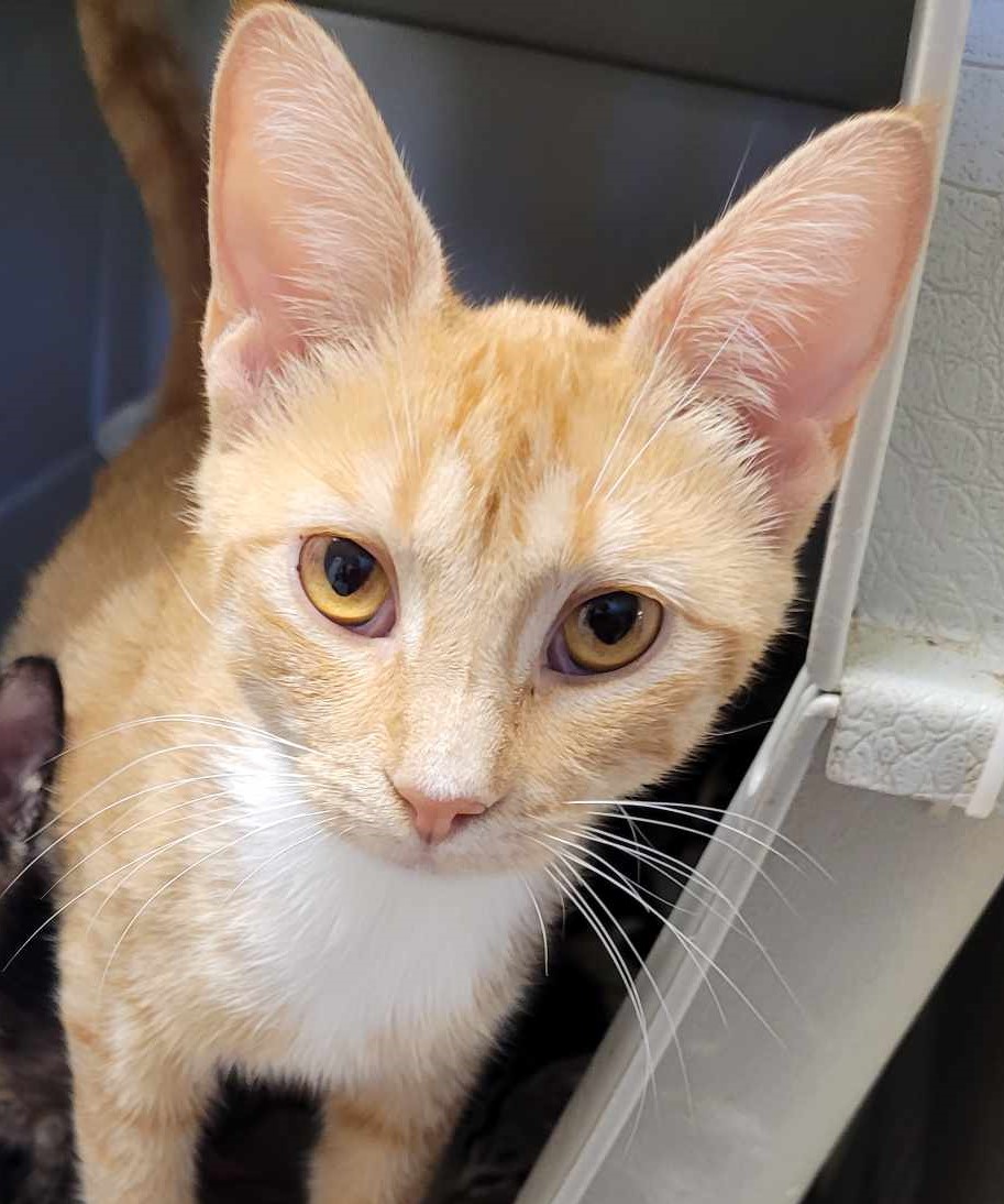 April — thumbnail 3