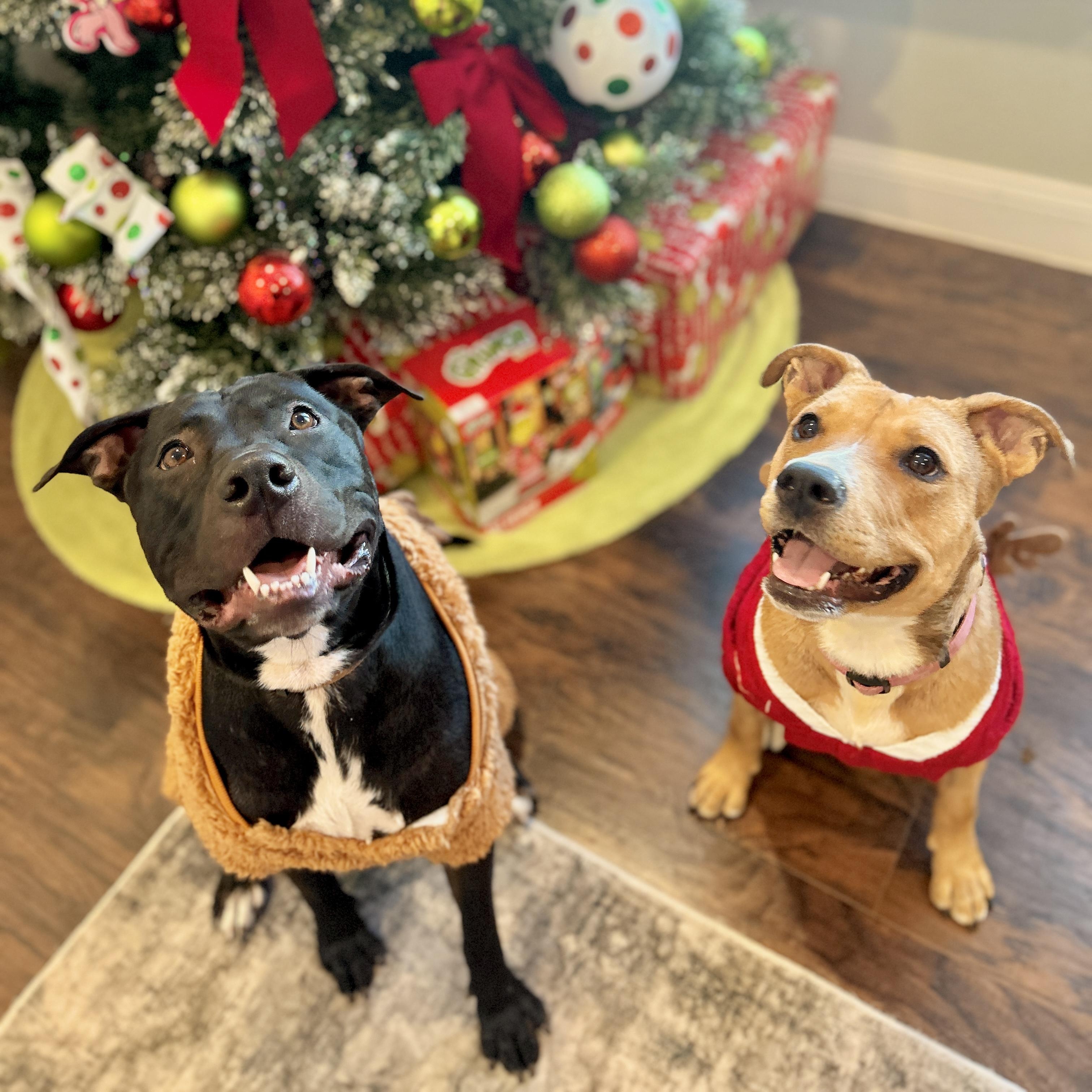 Cally — thumbnail 2