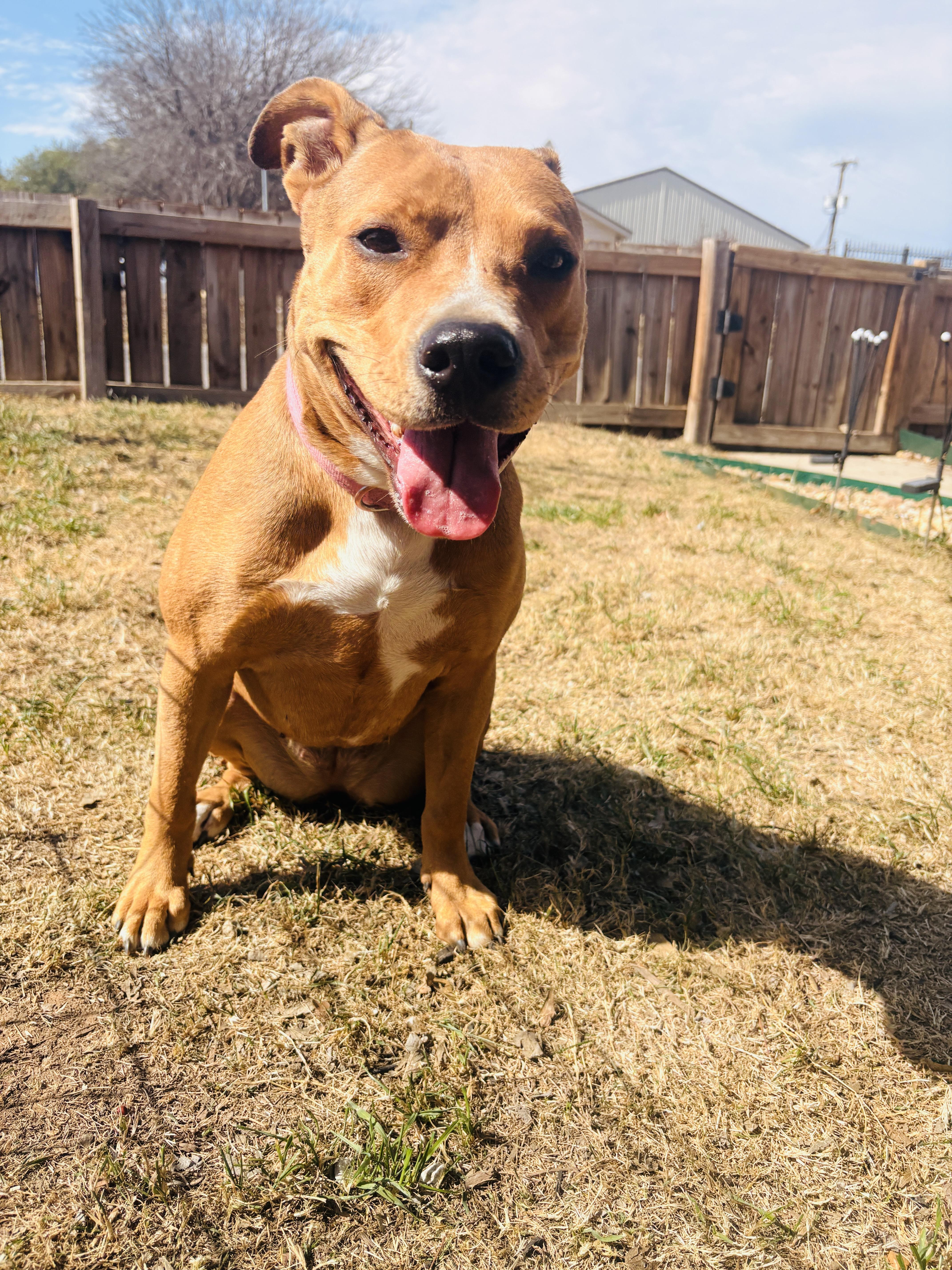 Cally — thumbnail 3