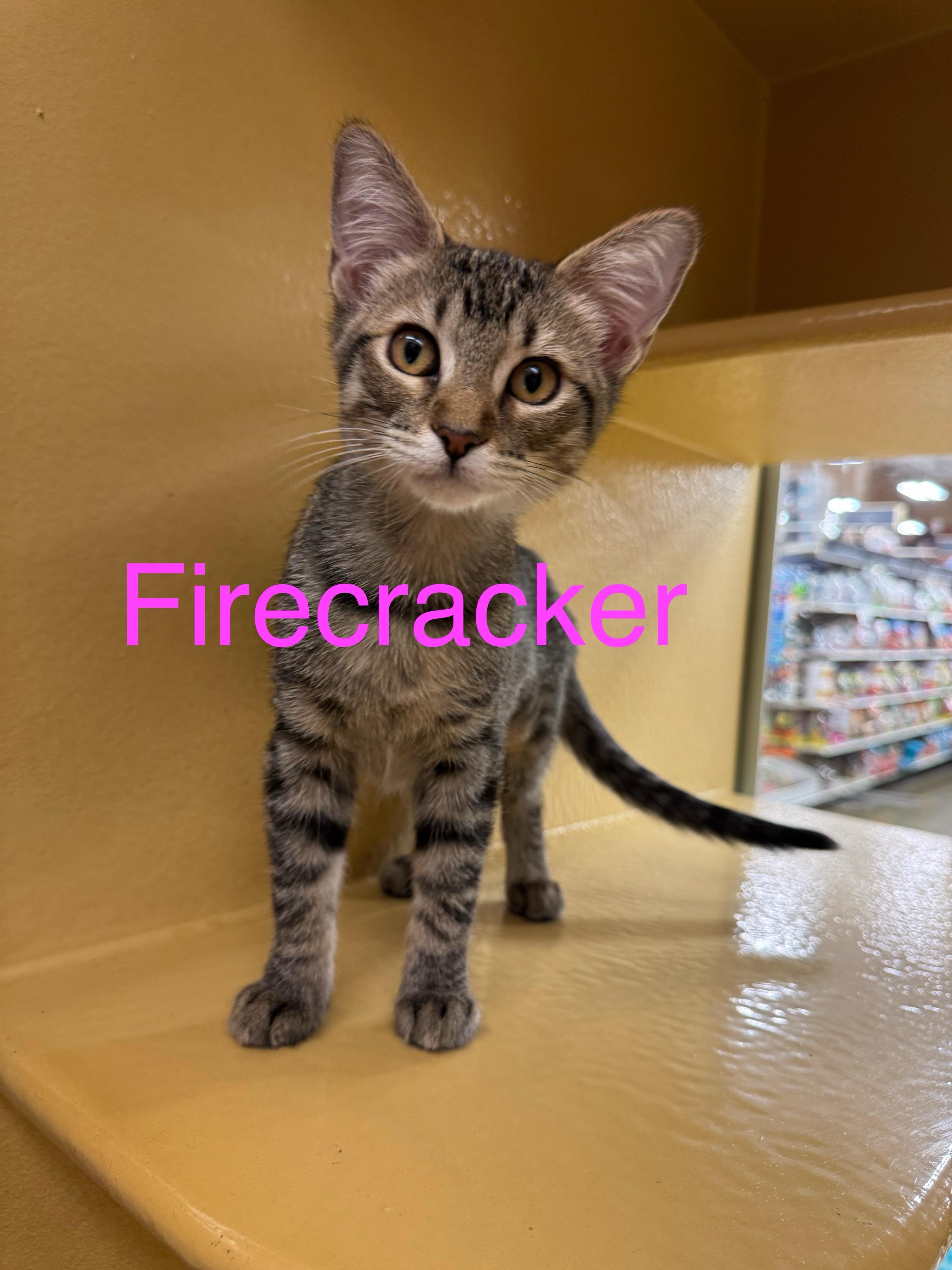 Firecracker