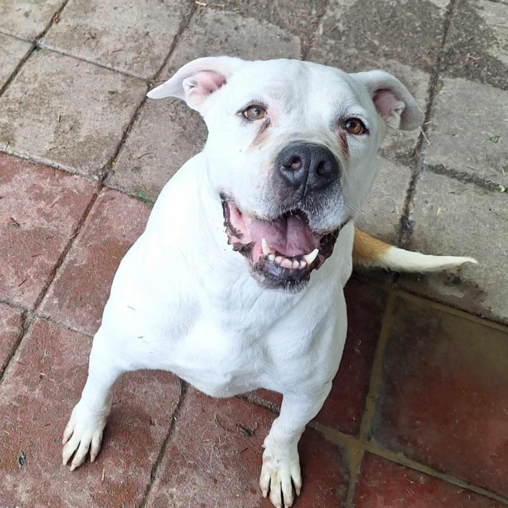 Josie — thumbnail 2