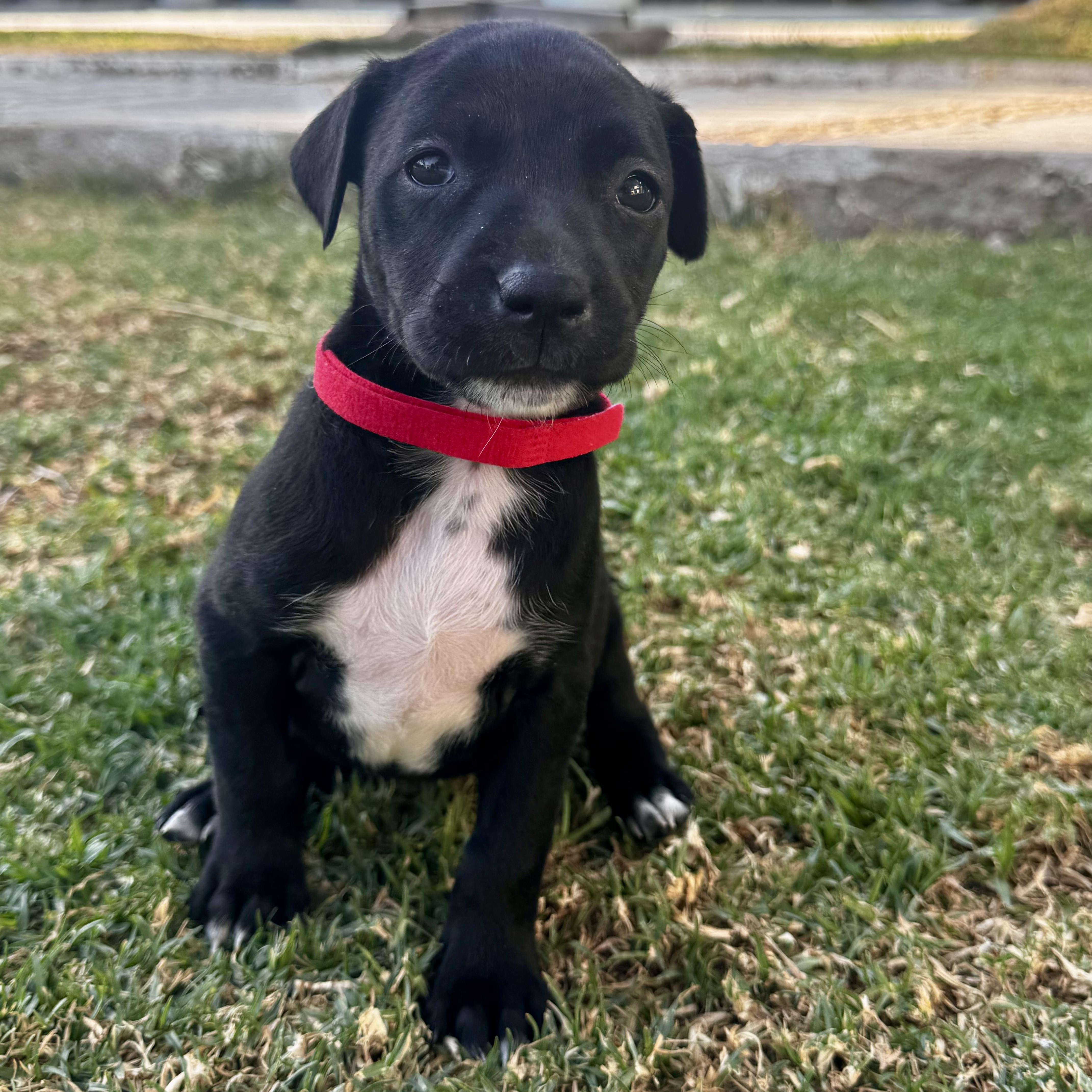 Ursula — thumbnail 3