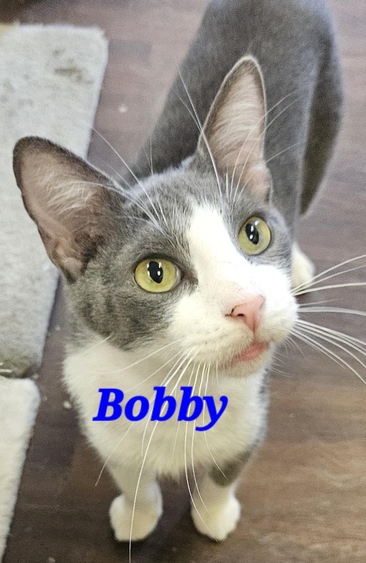 Bobby