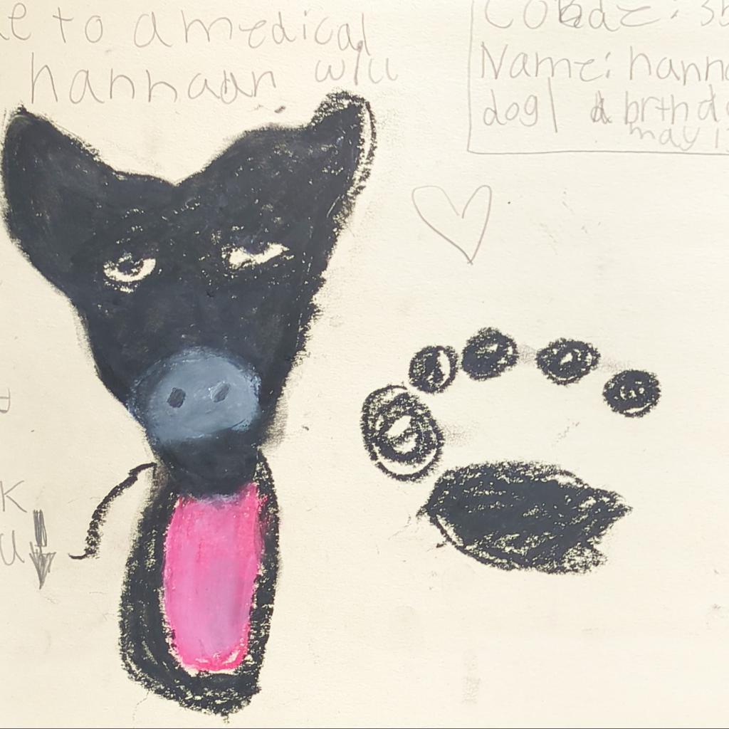 Hannah, a Adoptable Labrador Retriever in Long Beach, CA image 2/6