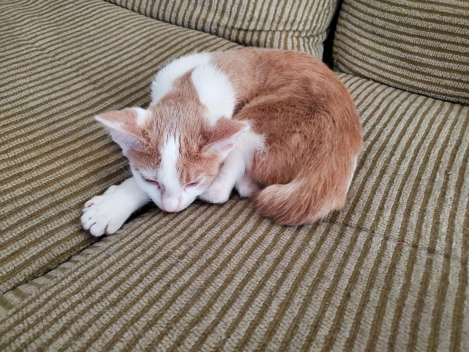 Marvelous thumbnail 2