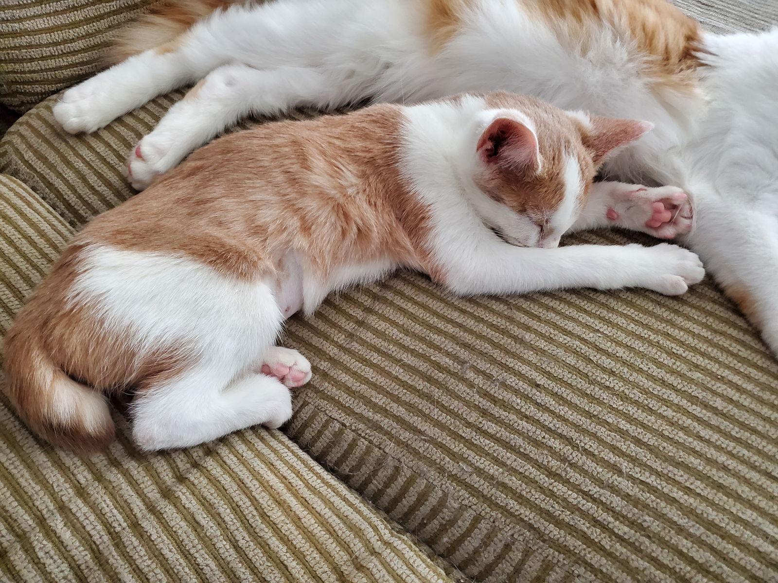 Marvelous thumbnail 3