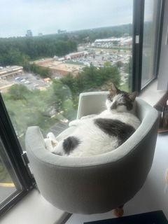 Lucky — thumbnail 2