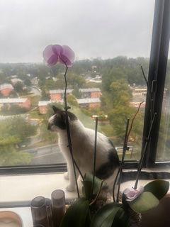 Lucky — thumbnail 3