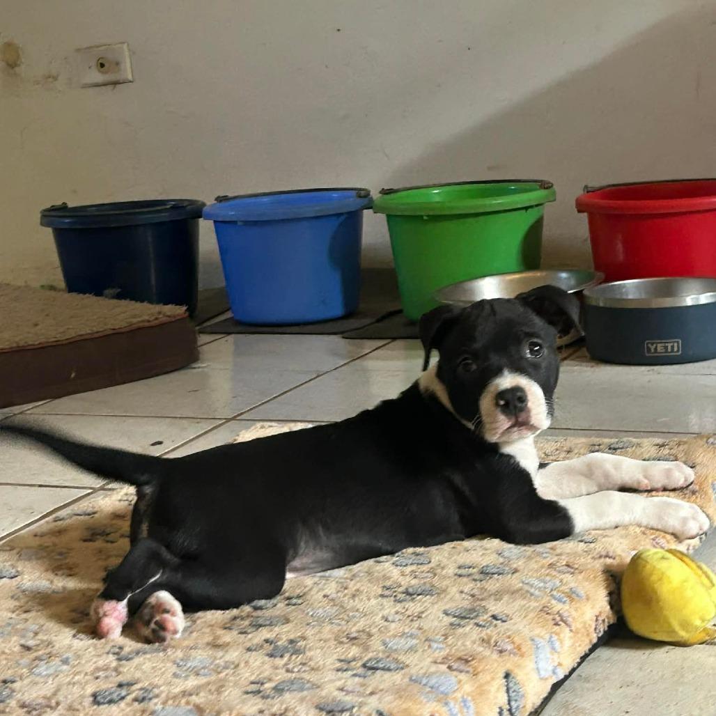 Lil Foot Louise thumbnail 3