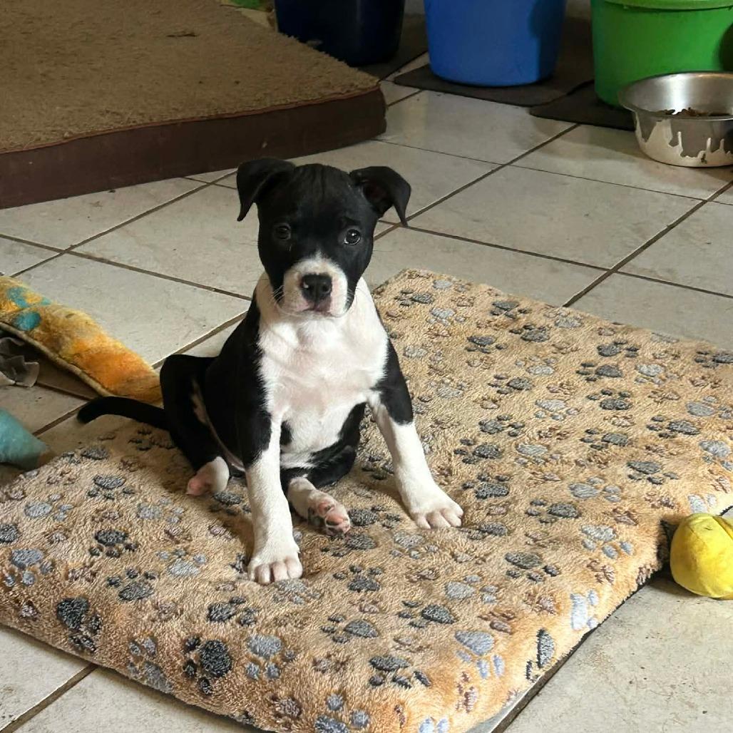 Lil Foot Louise thumbnail 4