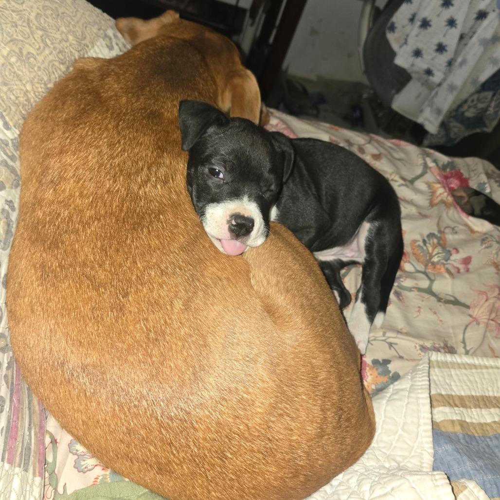 Lil Foot Louise thumbnail 5