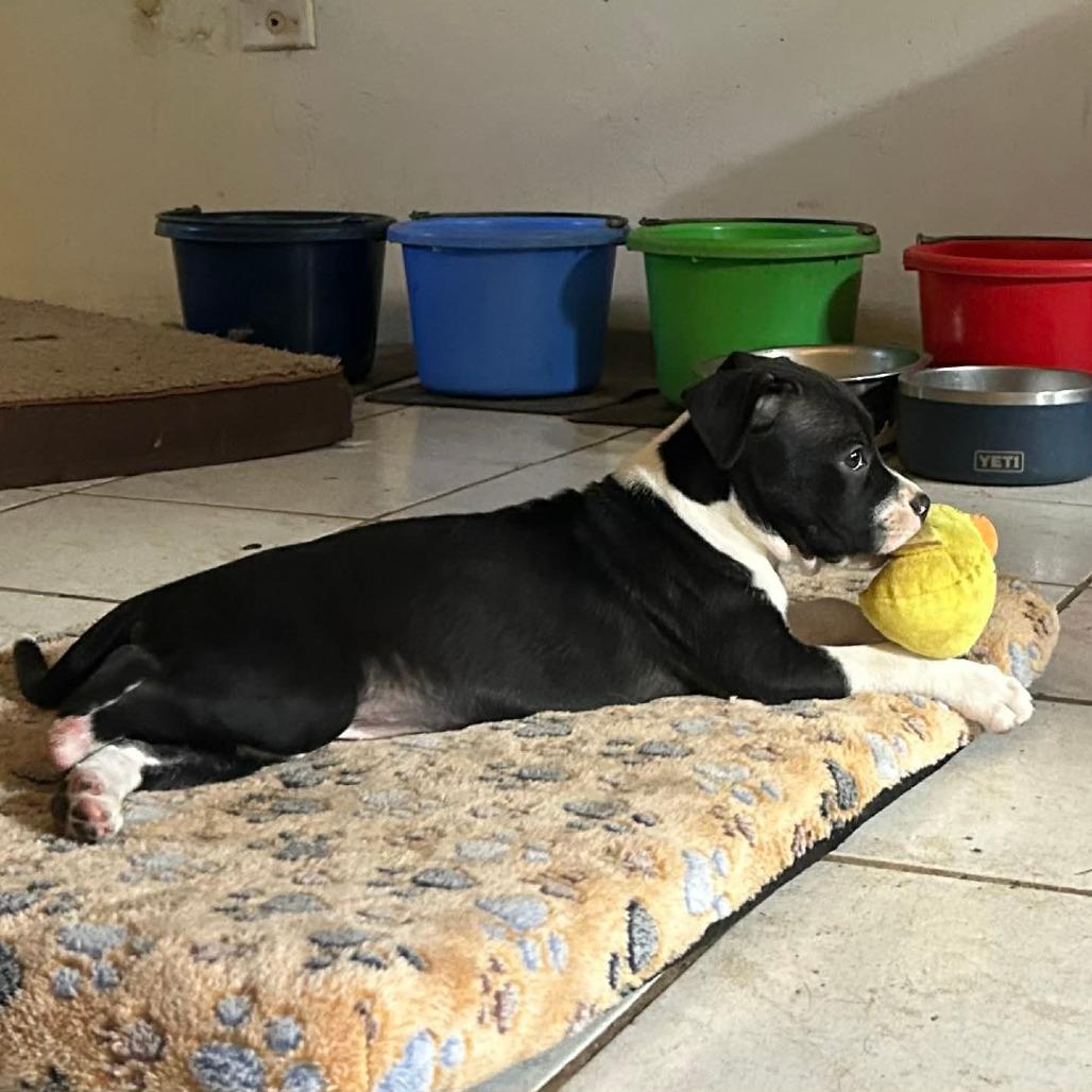 Lil Foot Louise thumbnail 6