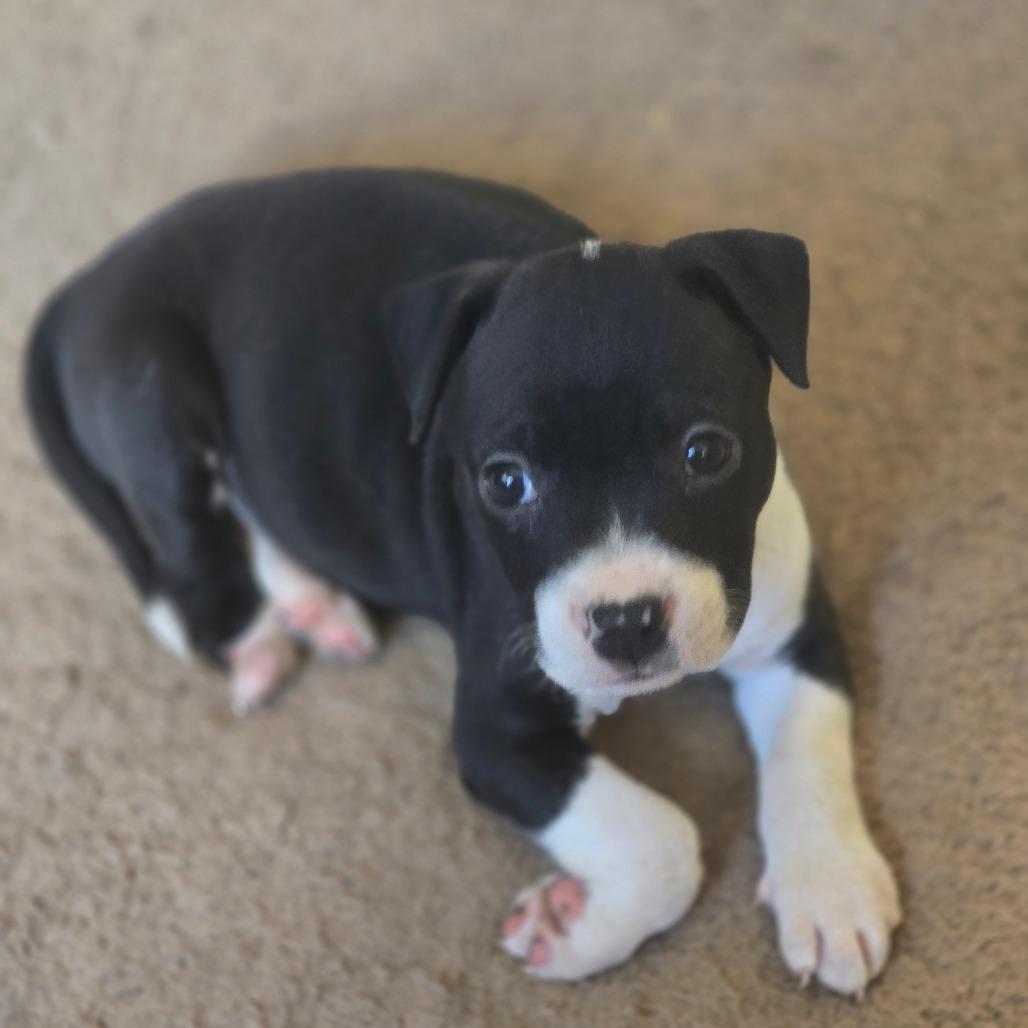 Lil Foot Louise thumbnail 7