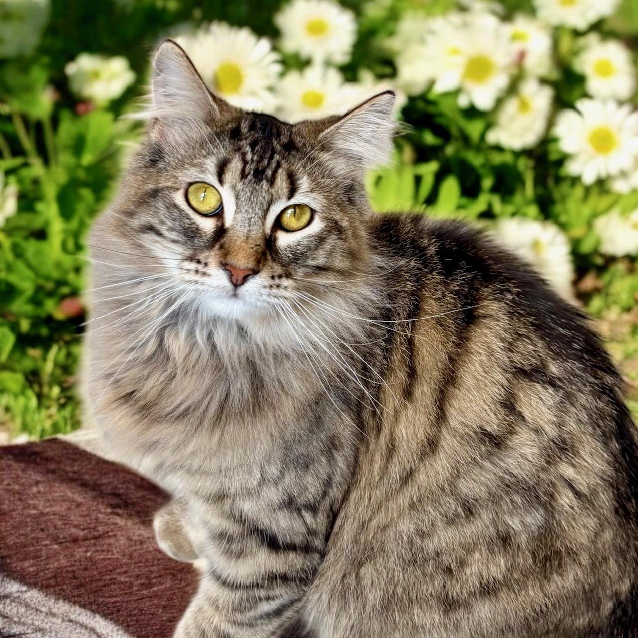 Winifred