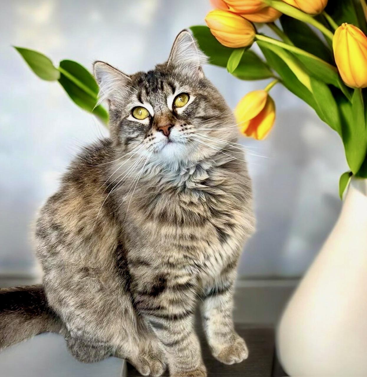 Winifred