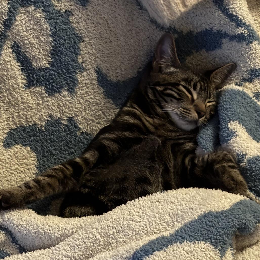 Bonus — thumbnail 5