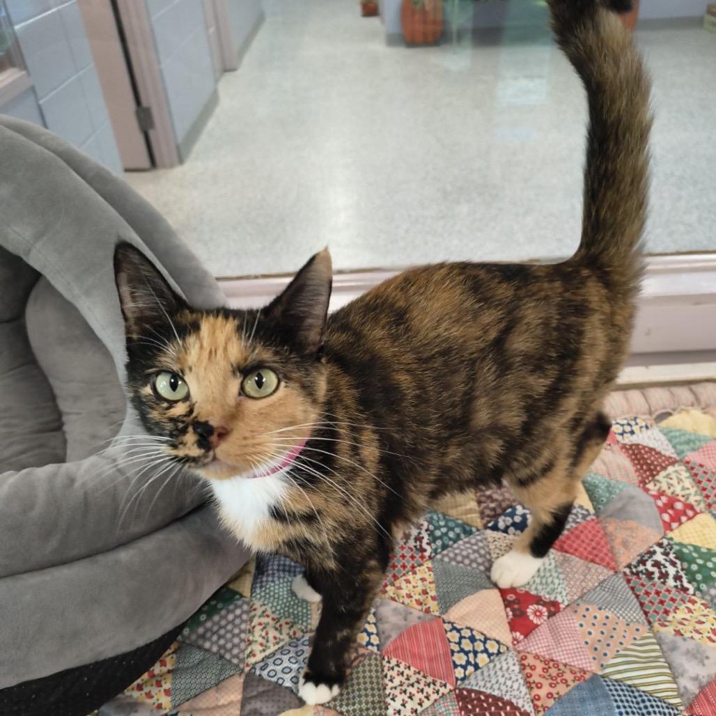 Feeney *Meet me at Eagan Petsmart* photo