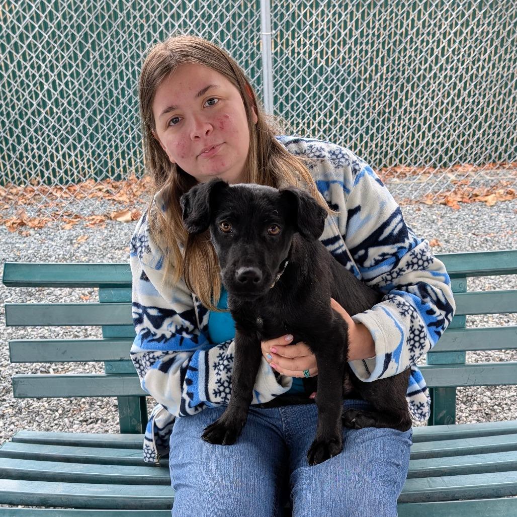 Maxx, a Adoptable Mixed Breed in Walnut Cove, NC image 1/4