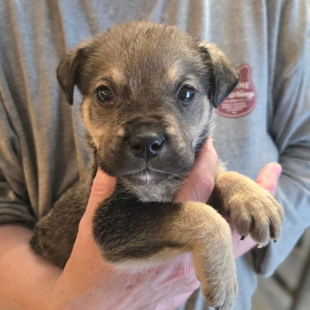 Ct Burnout Avail Feb thumbnail 3