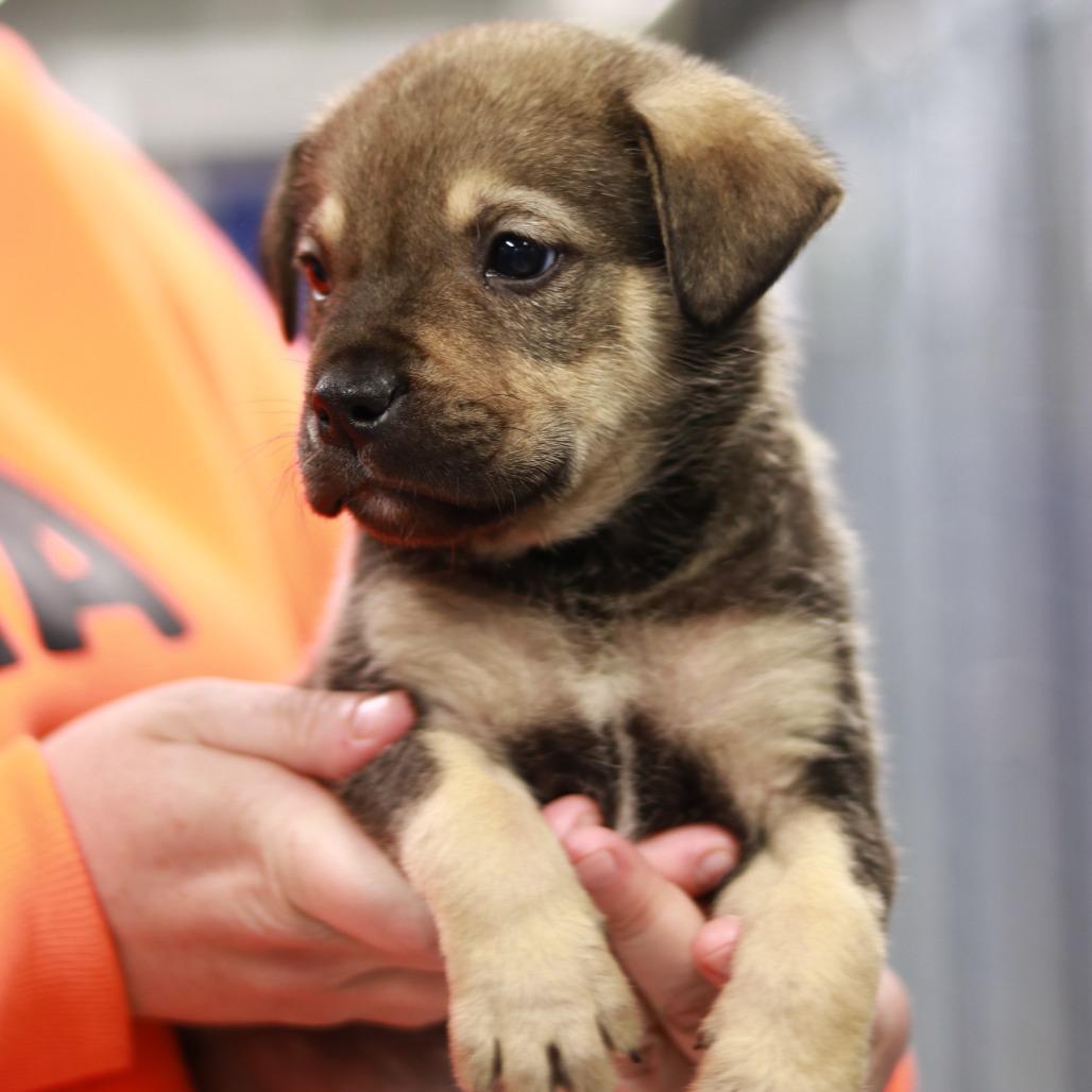 Ct Burnout Avail Feb thumbnail 5