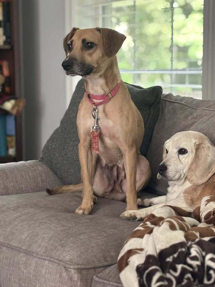 Robin Thebank thumbnail 2