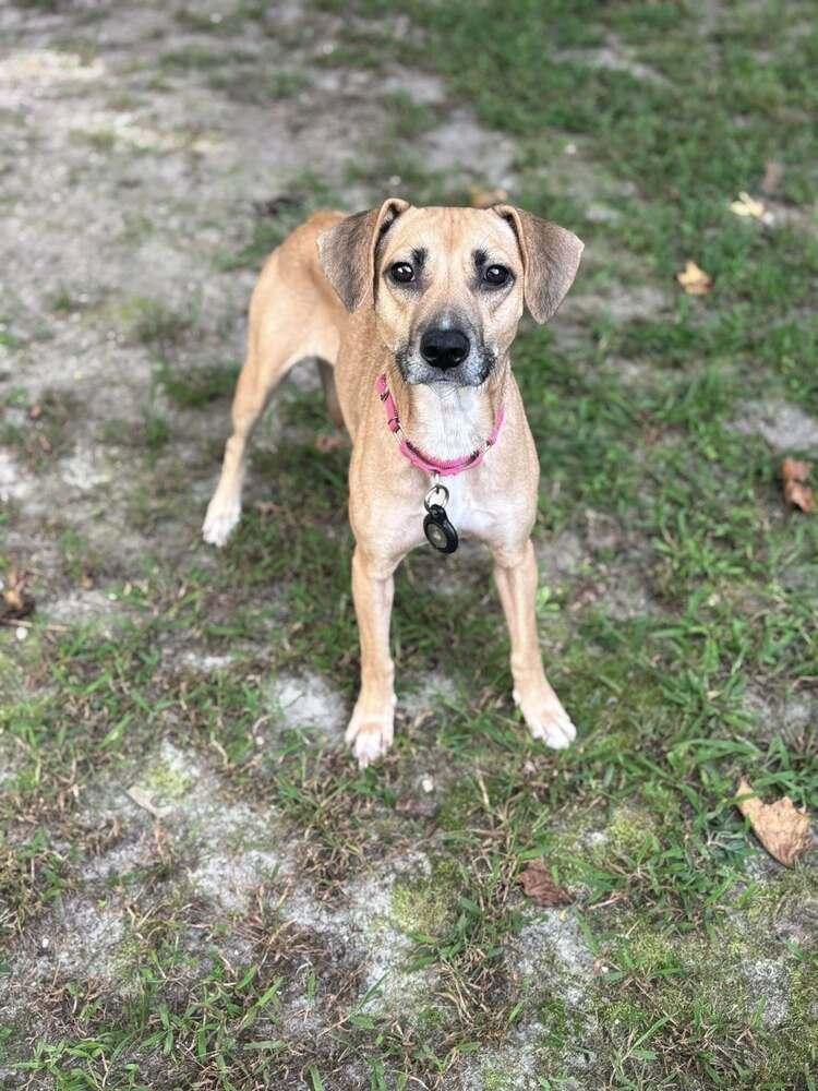 Robin Thebank thumbnail 3