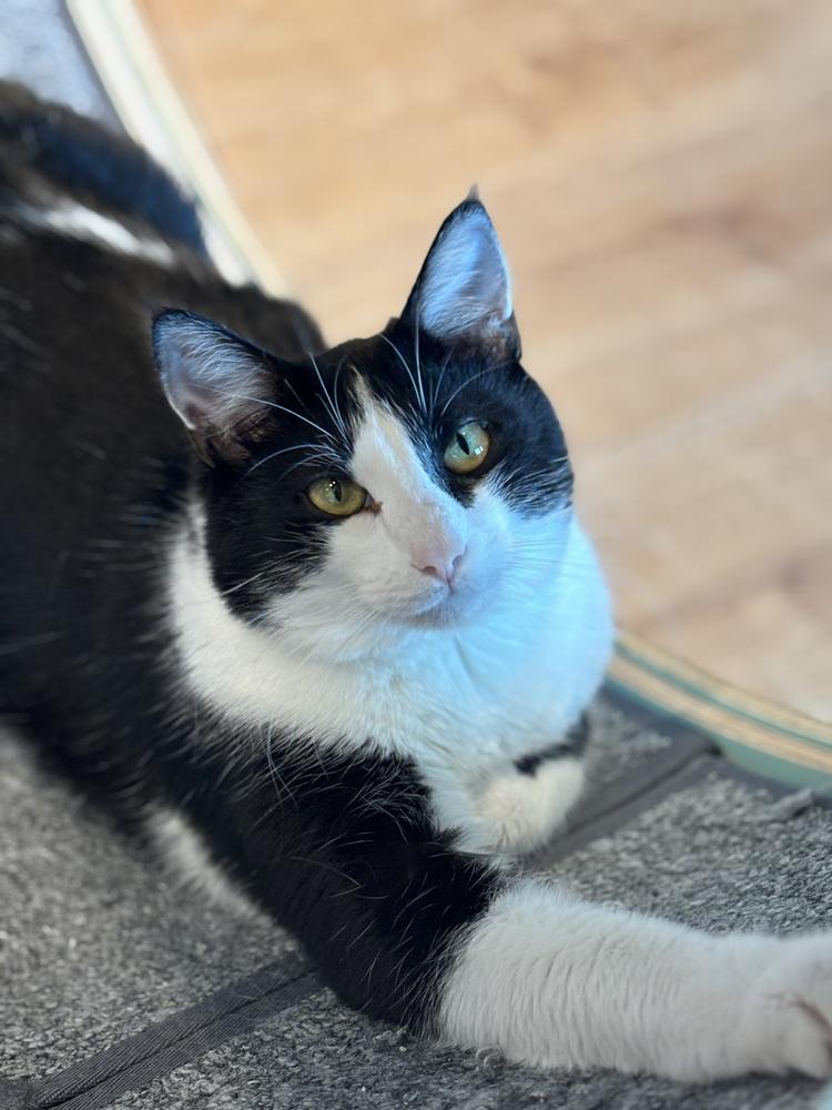 Xavier — thumbnail 6