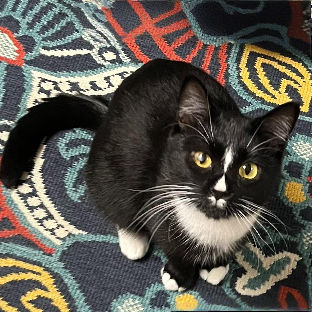 Gia – Sweeter Than