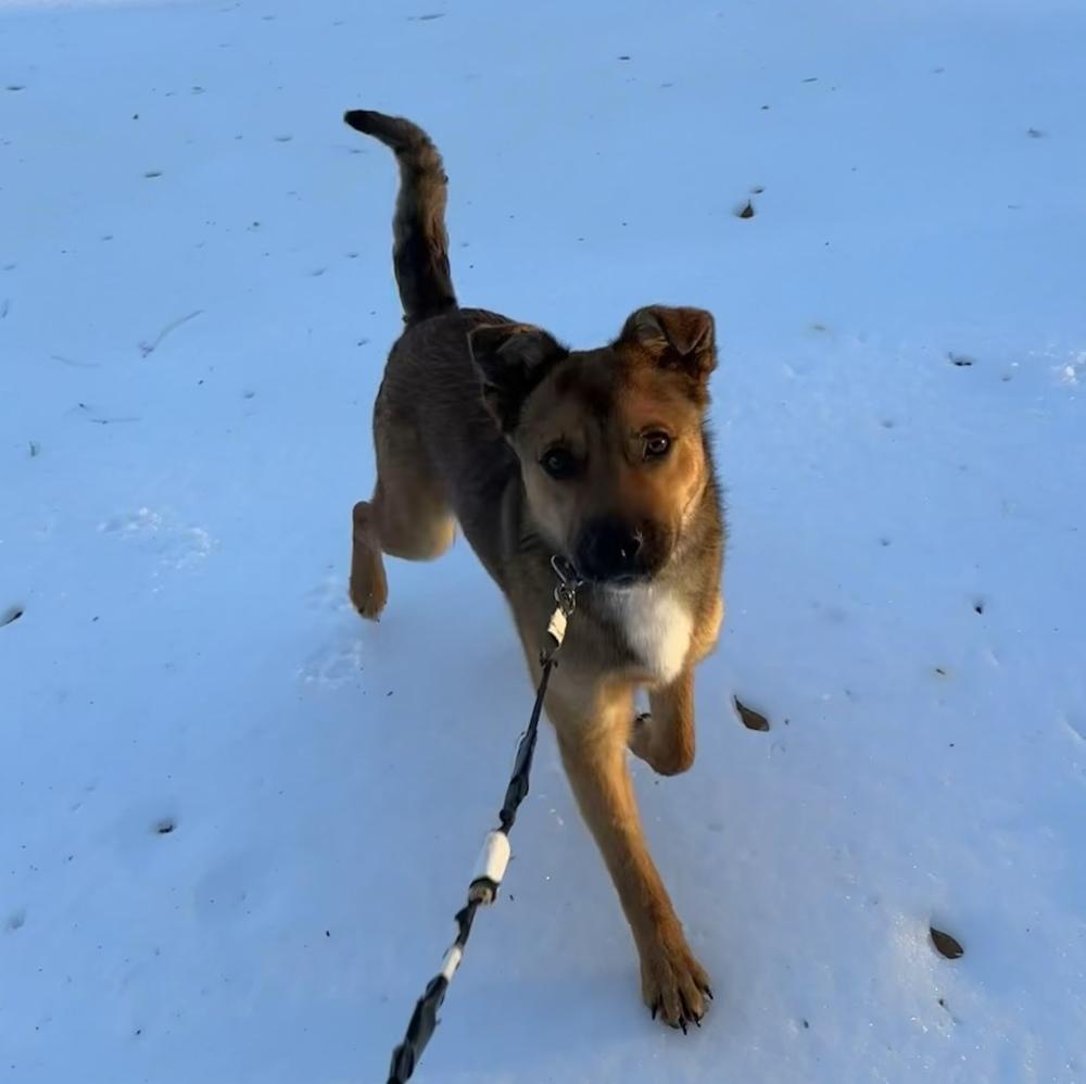 Saint — thumbnail 2