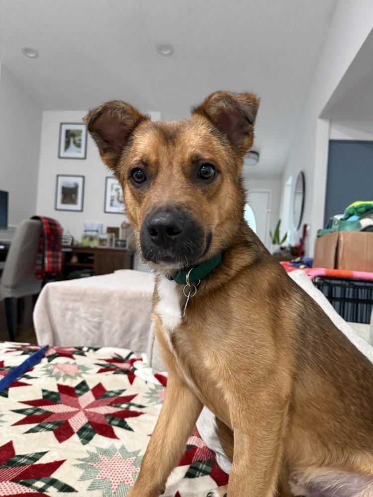 Saint — thumbnail 3