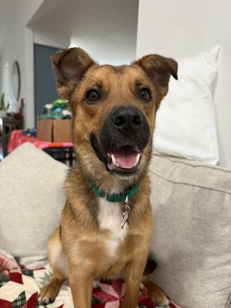 Saint — thumbnail 4