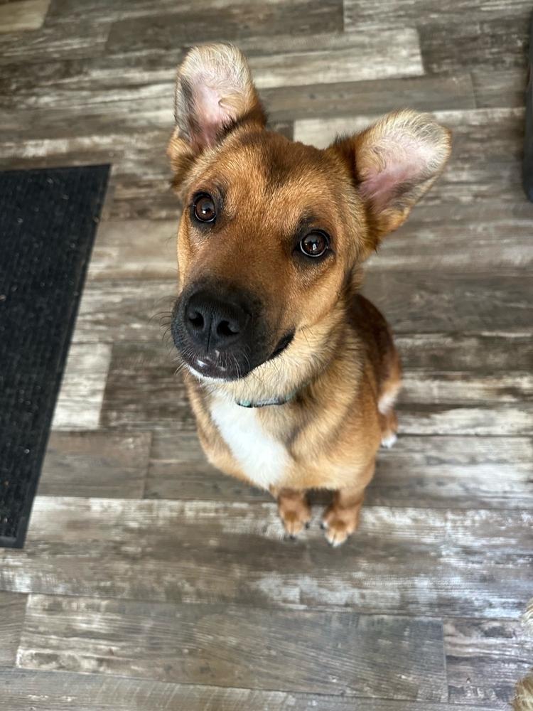 Saint — thumbnail 5