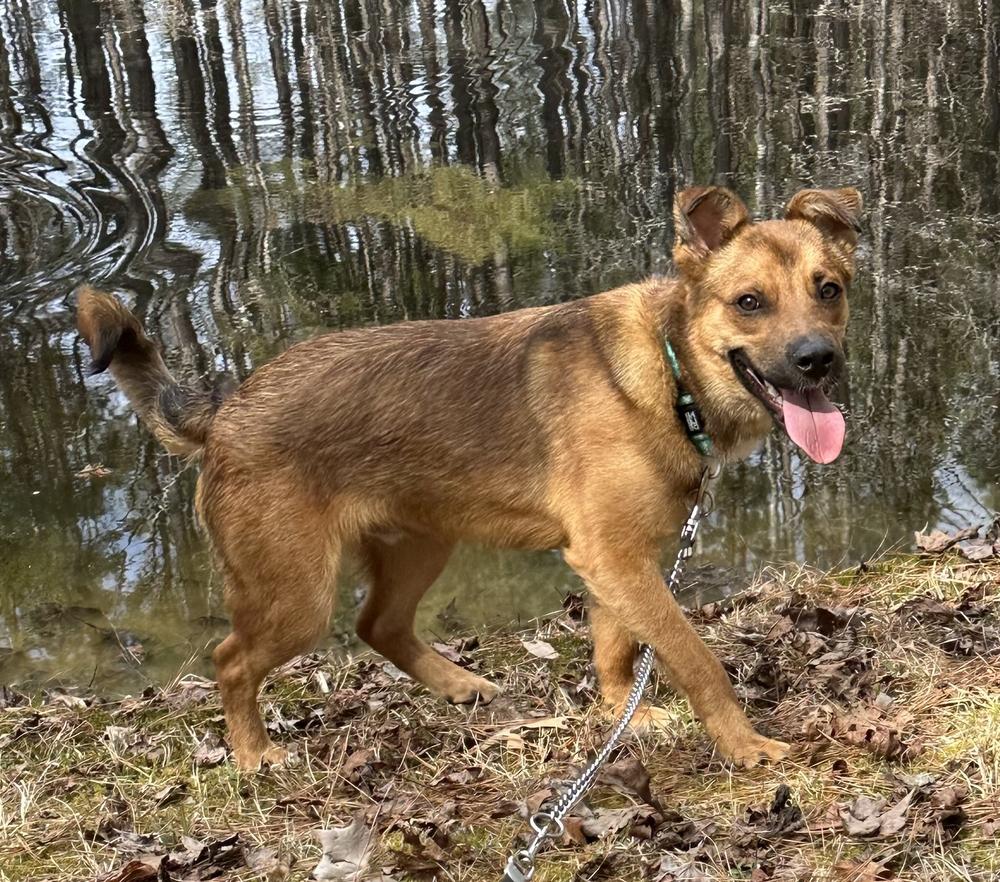 Saint — thumbnail 6