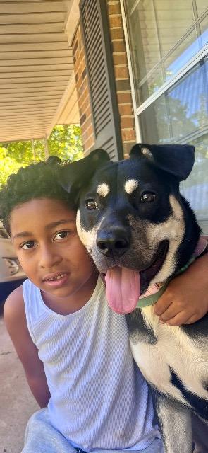 Enlarge LUNA, a Adoptable mixed breed in Athens, AL image 6/6