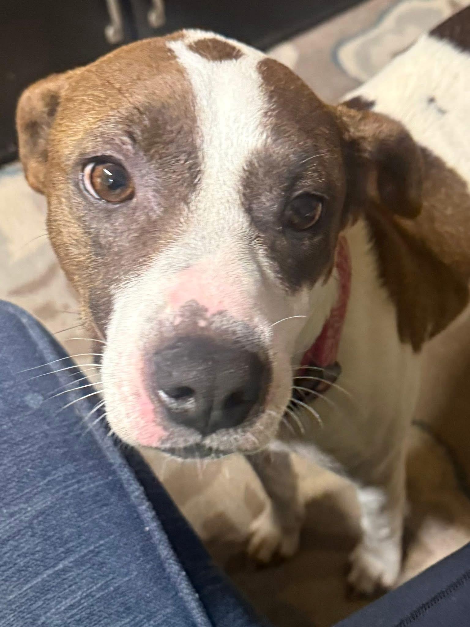 BAYLI - Sponsored Fee!!