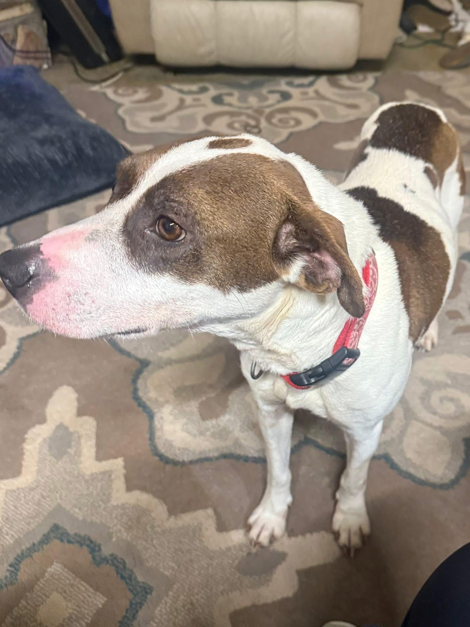 BAYLI - Sponsored Fee!! — thumbnail 6