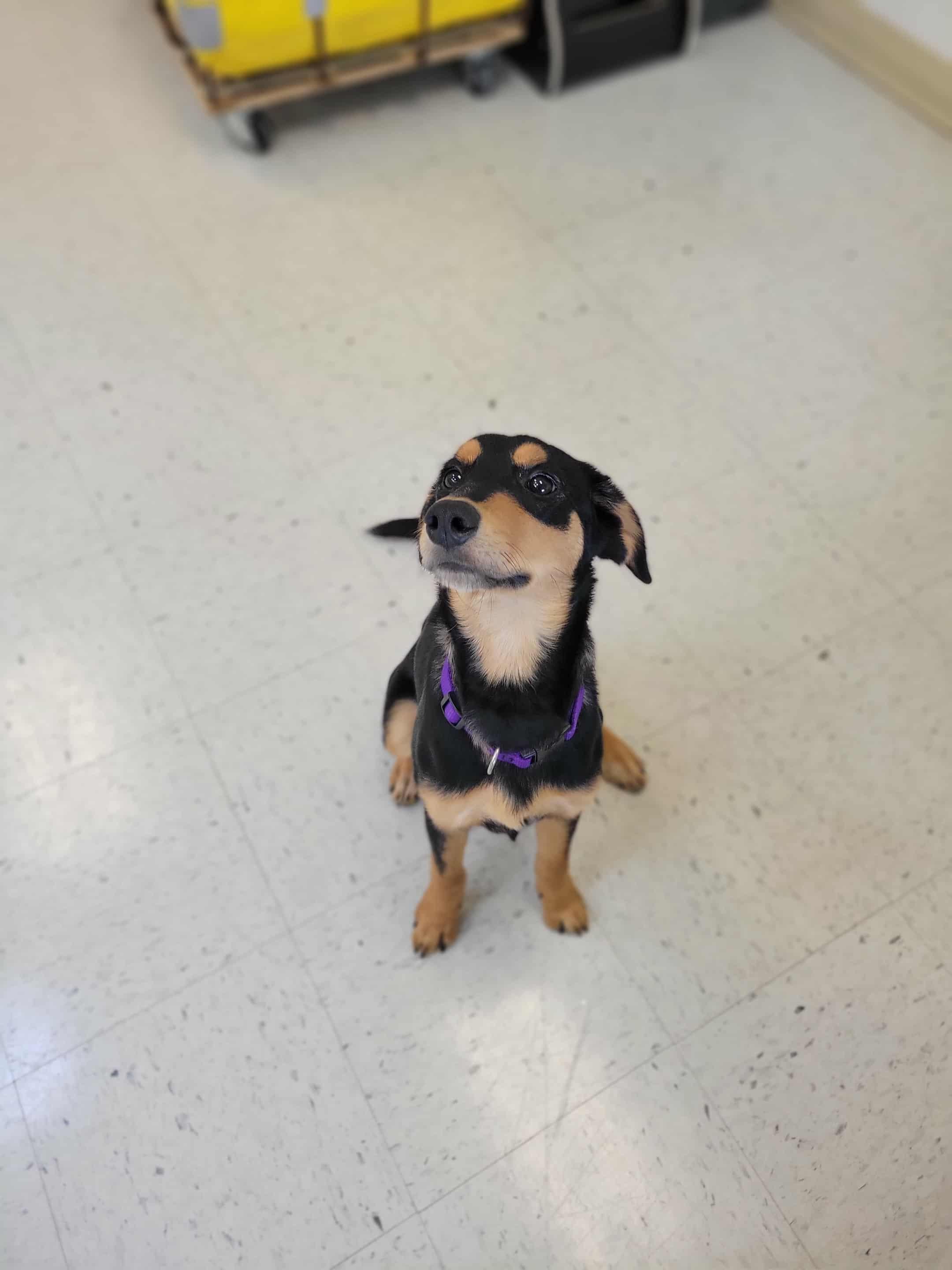 Billie Jean thumbnail 2