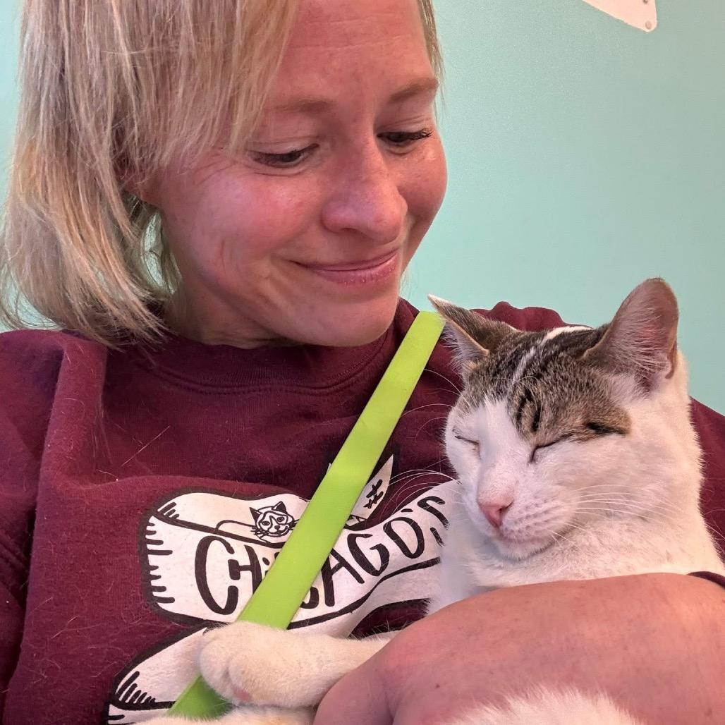 Enlarge Snowman, a Adoptable Domestic Short Hair in Wheeling, IL image 6/6