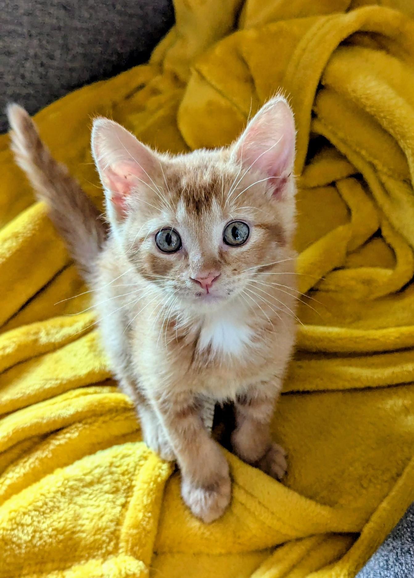 Mack, Baby Male unknown