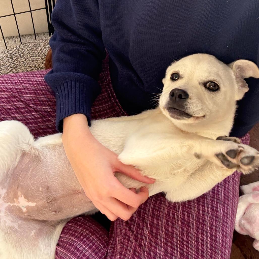 Michelle thumbnail 3