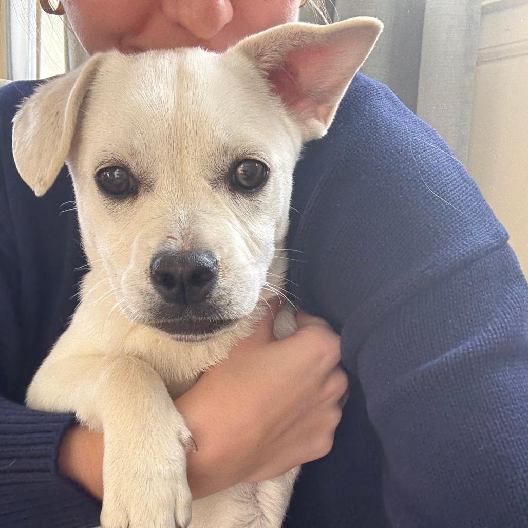 Michelle thumbnail 4