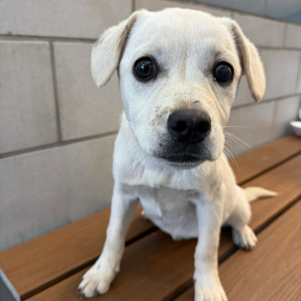 Michelle thumbnail 6