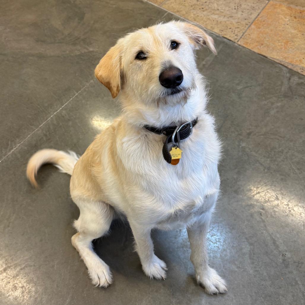 Winston Stoney — thumbnail 2