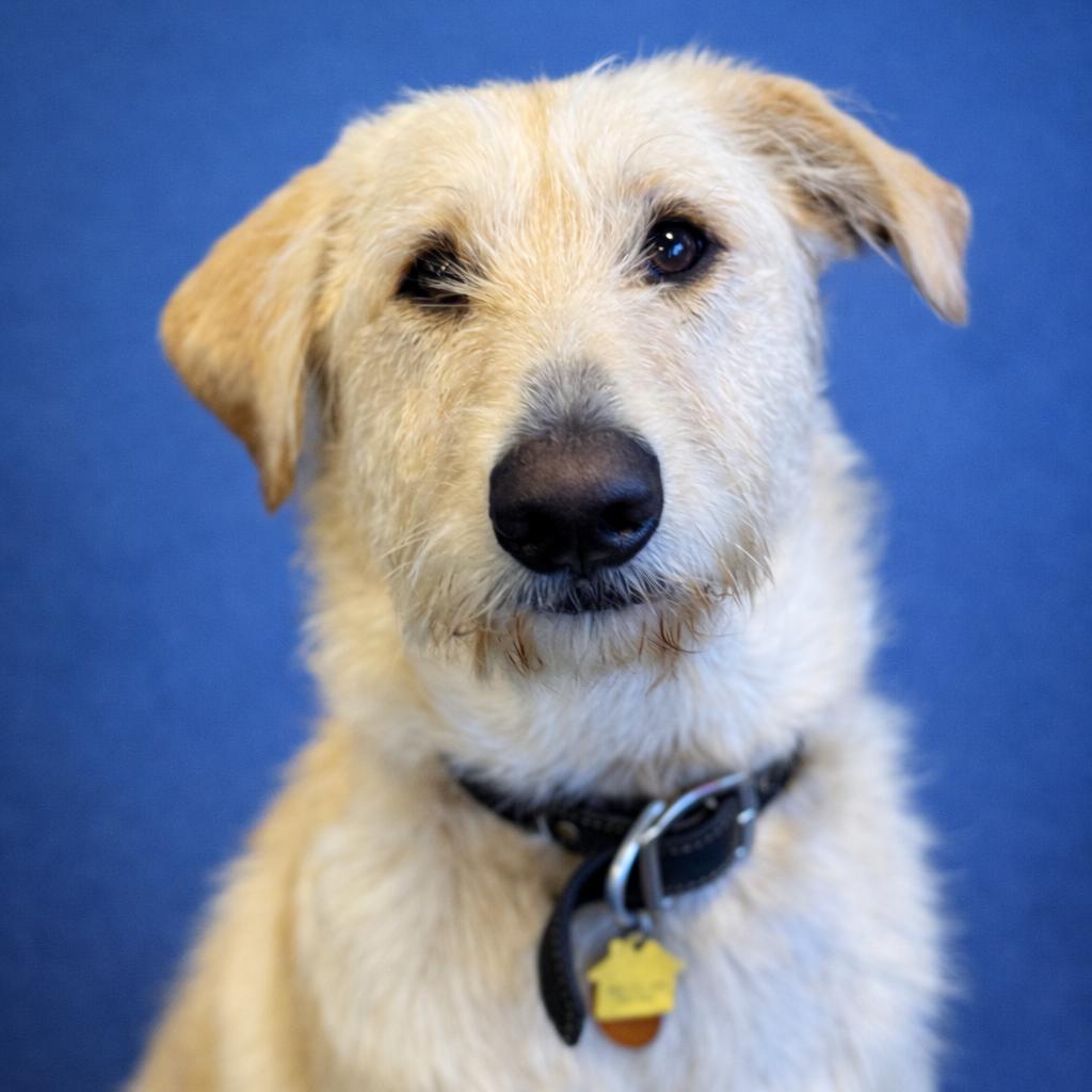 Winston Stoney — thumbnail 3