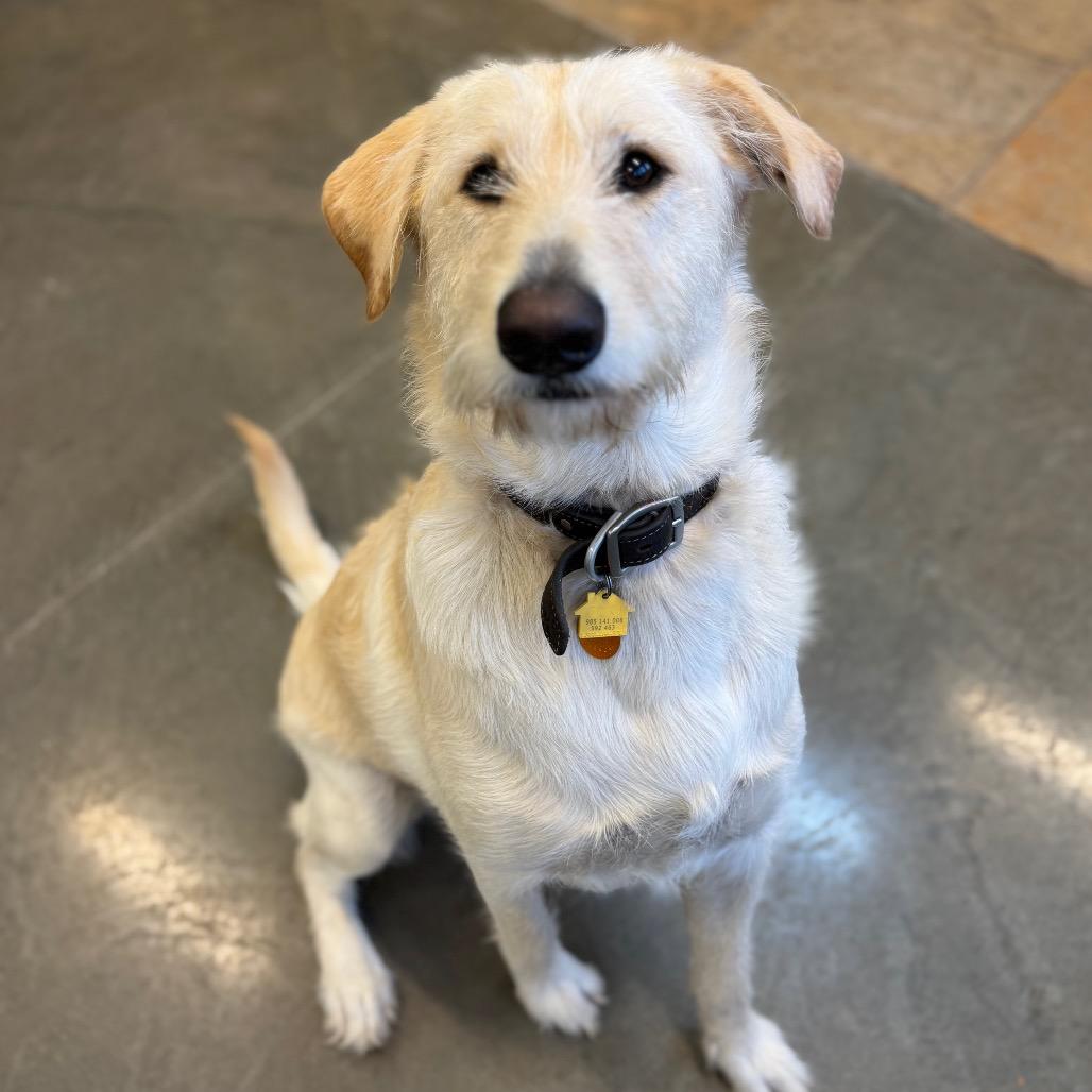 Winston Stoney — thumbnail 4