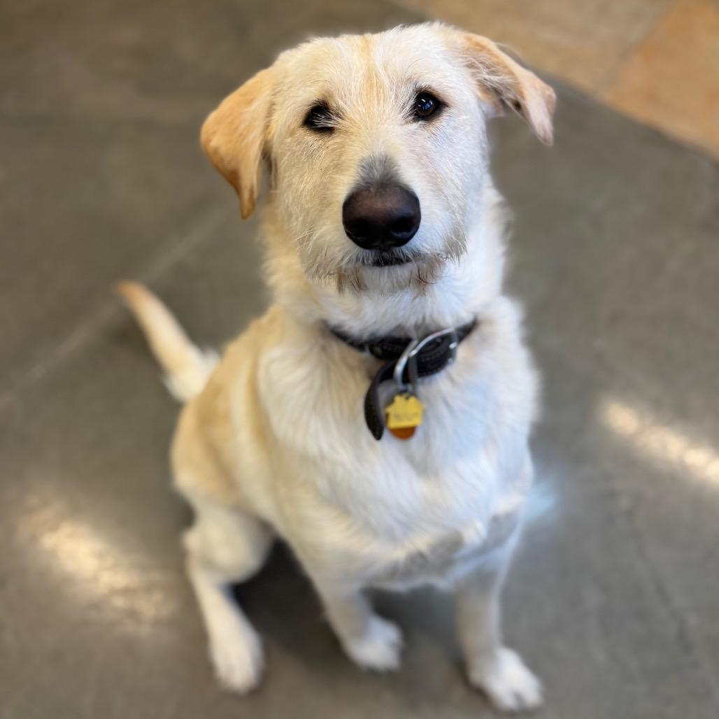 Winston Stoney — thumbnail 5